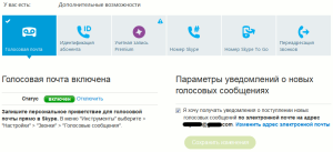 Включение поддержки голосовых сообщений в профиле на сайте Skype